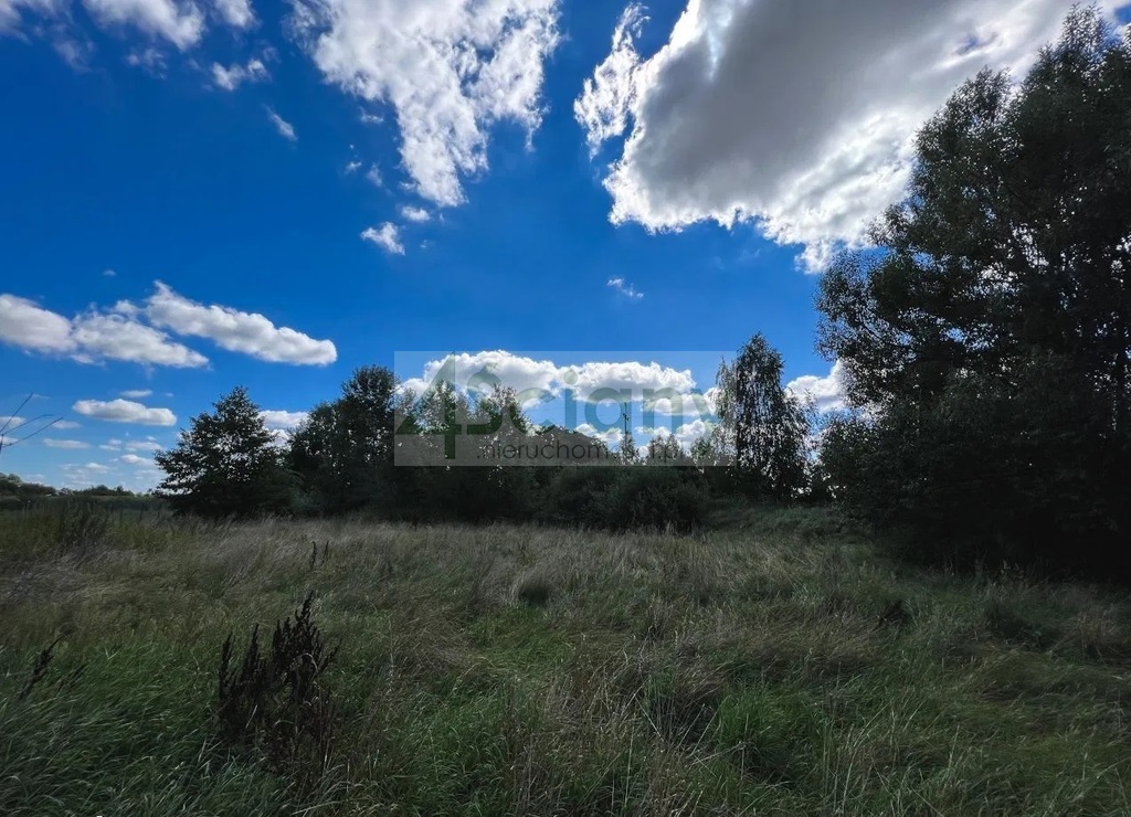 Działka budowlana 2822&nbsp;m², Szamoty - zdjęcie 3