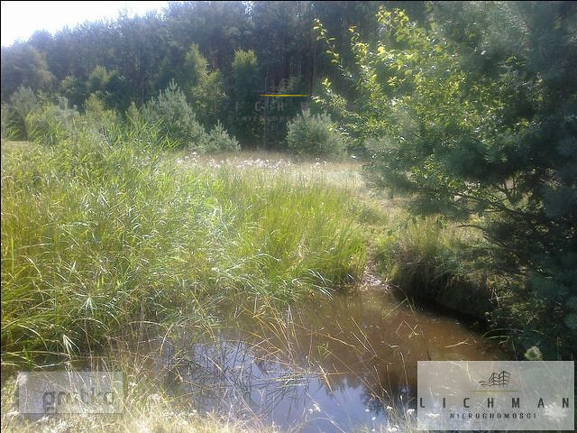 Działka inwestycyjna 8,84 ha, Kołczewo - zdjęcie 9