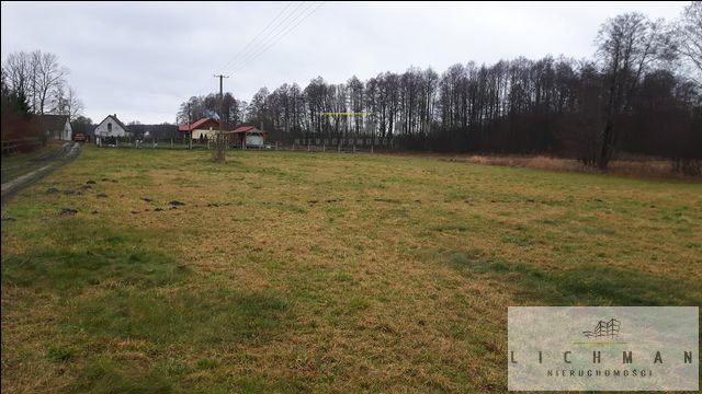 Działka rolna 2700 m², Wilków - zdjęcie 2