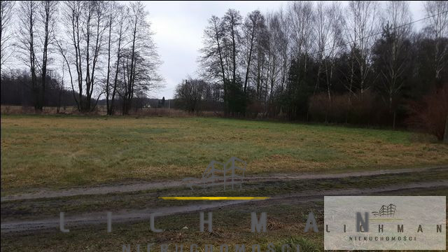 Działka rolna 2700 m², Wilków - zdjęcie 1