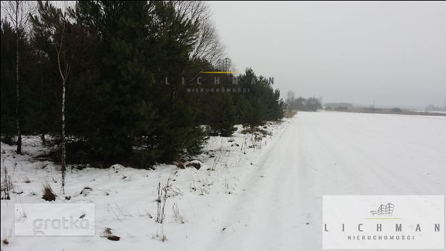 Działka rolna 1,14 ha, Zarzęcin - zdjęcie 2