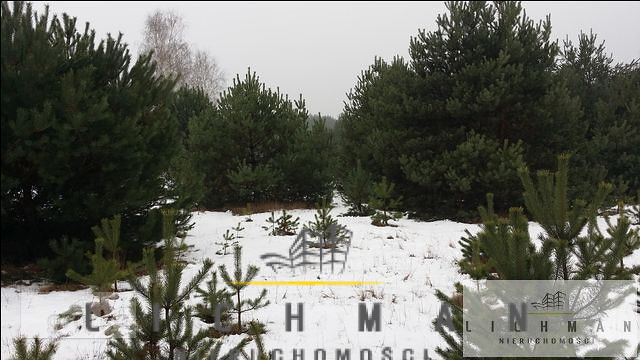 Działka rolna 1,14 ha, Zarzęcin - zdjęcie 1