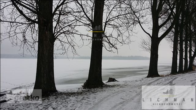 Działka rolna 1,14 ha, Zarzęcin - zdjęcie 3