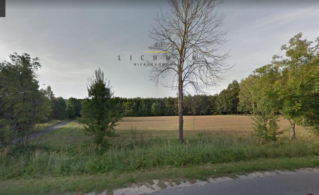 Działka budowlana 1,98&nbsp;ha, Żytowice - zdjęcie 4