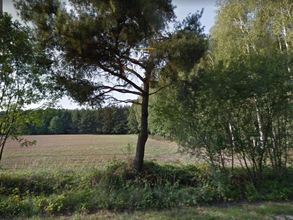 Działka budowlana 1,98&nbsp;ha, Żytowice - zdjęcie 3
