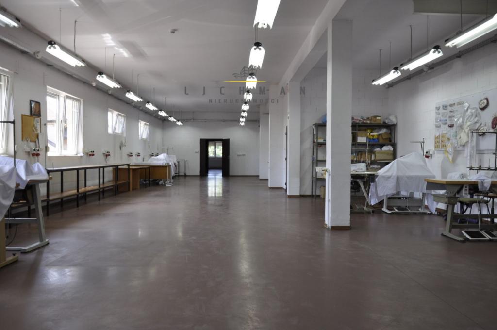 Lokal usługowy do wynajęcia, 729&nbsp;m², Łódź - zdjęcie 3