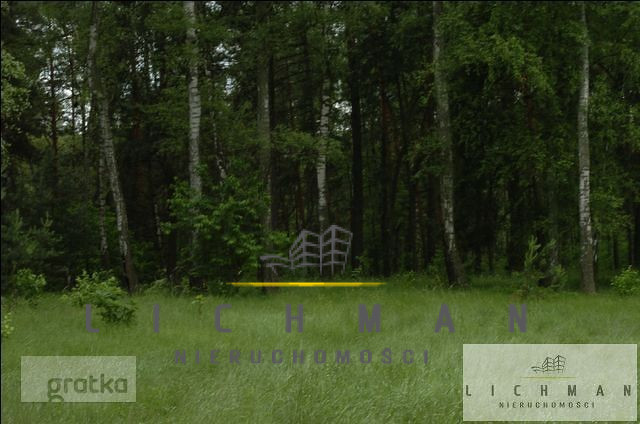 Dziełak leśna na sprzedaż Kwiatkowice Las - zdjęcie 1