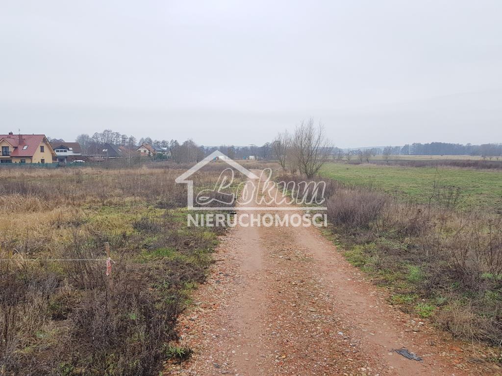 Działka budowlana 1000&nbsp;m², Dobra - zdjęcie 1