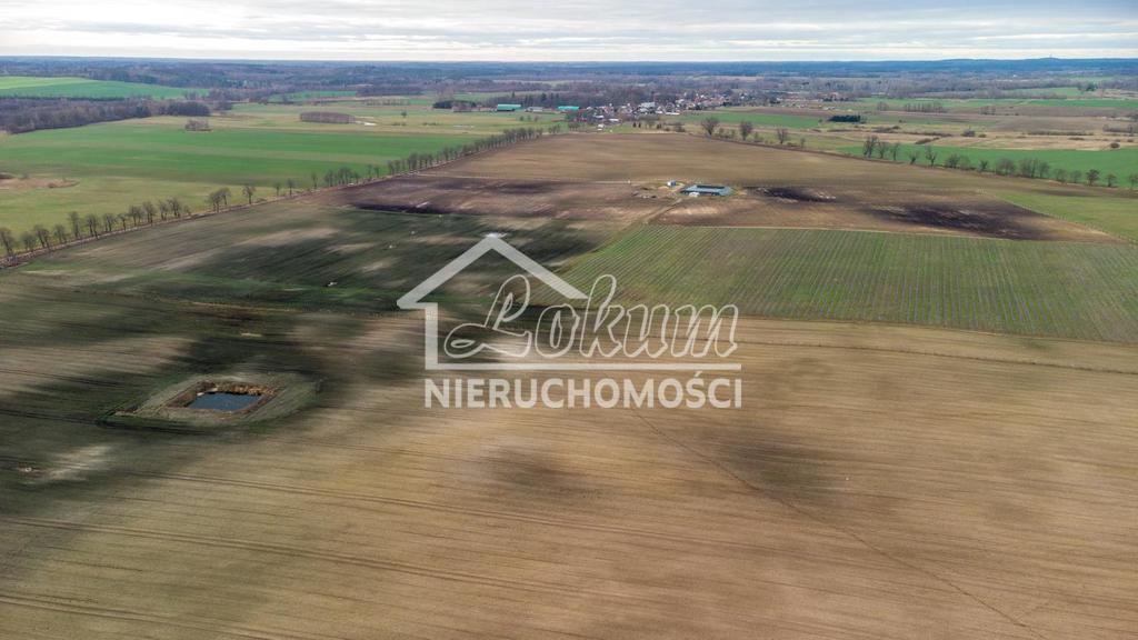Działka inwestycyjna 50,00&nbsp;ha, Chociwel - zdjęcie 8