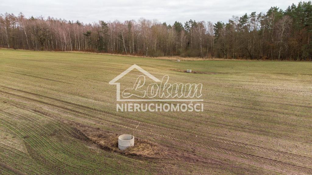 Działka inwestycyjna 50,00 ha, Chociwel - zdjęcie 12