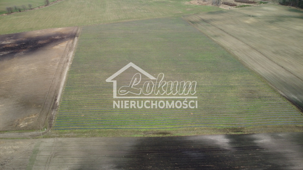 Działka inwestycyjna 50,00 ha, Chociwel - zdjęcie 4