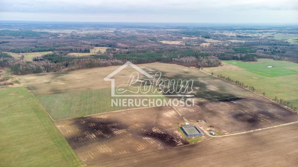 Działka inwestycyjna 50,00 ha, Chociwel - zdjęcie 1