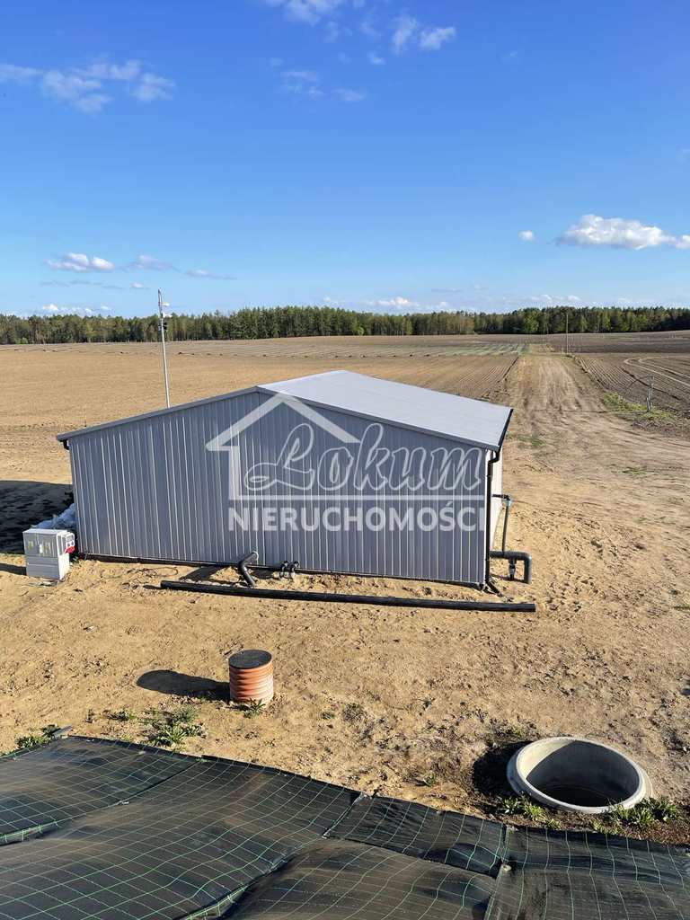 Działka inwestycyjna 50,00&nbsp;ha, Chociwel - zdjęcie 15