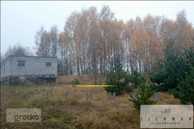 Działka rolna 2,96 ha, Siucice-Kolonia - zdjęcie 1