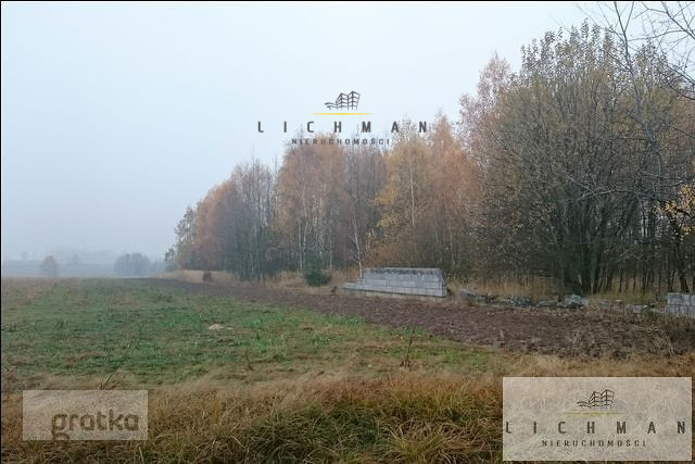 Działka rolna 2,96 ha, Siucice-Kolonia - zdjęcie 2