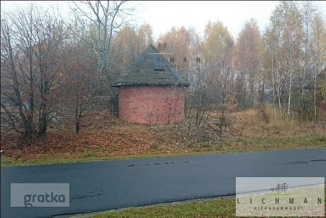 Działka rolna 2,96 ha, Siucice-Kolonia - zdjęcie 5