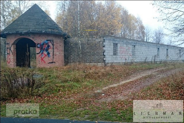 Działka rolna 2,96 ha, Siucice-Kolonia - zdjęcie 4