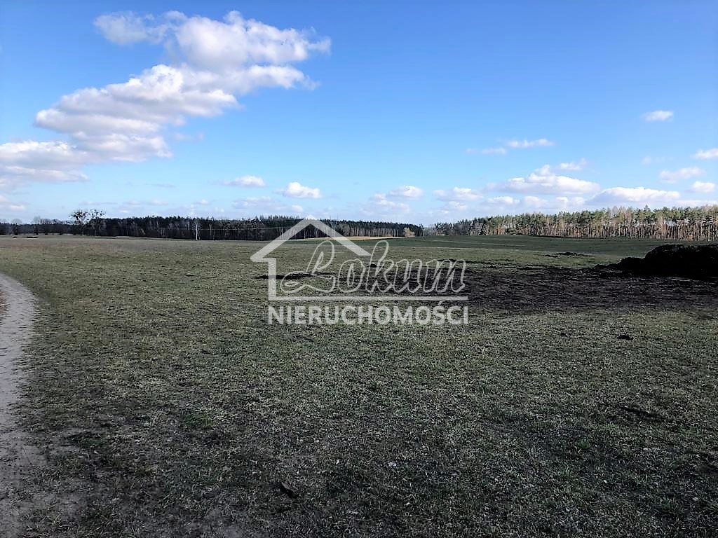 Działka rolna 2800 m², Sosnowice - zdjęcie 3