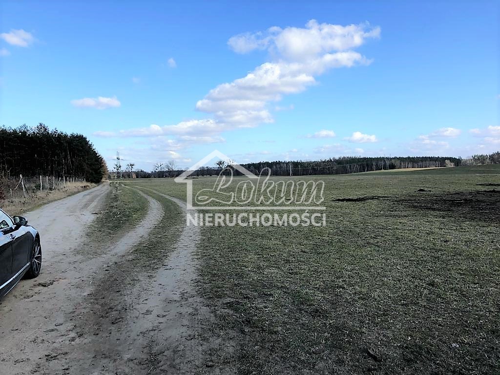 Działka rolna 2800 m², Sosnowice - zdjęcie 4