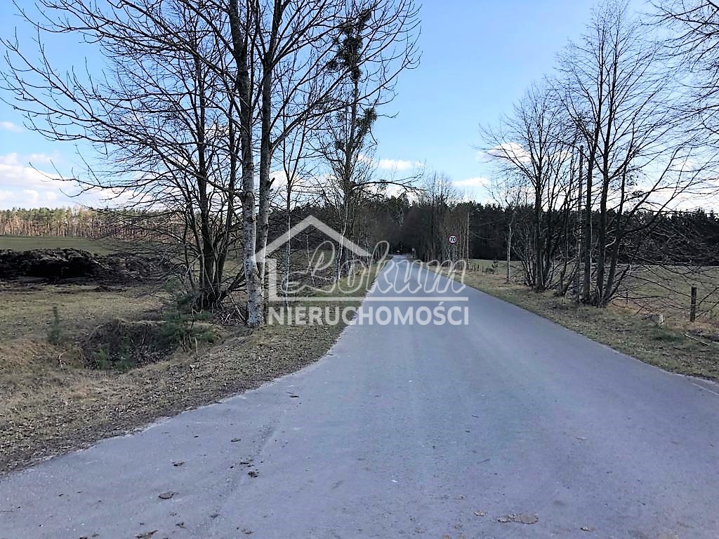 Działka rolna 2800&nbsp;m², Sosnowice - zdjęcie 2