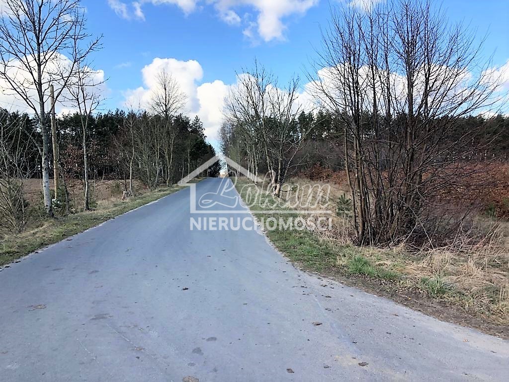 Działka rolna 2800 m², Sosnowice - zdjęcie 1