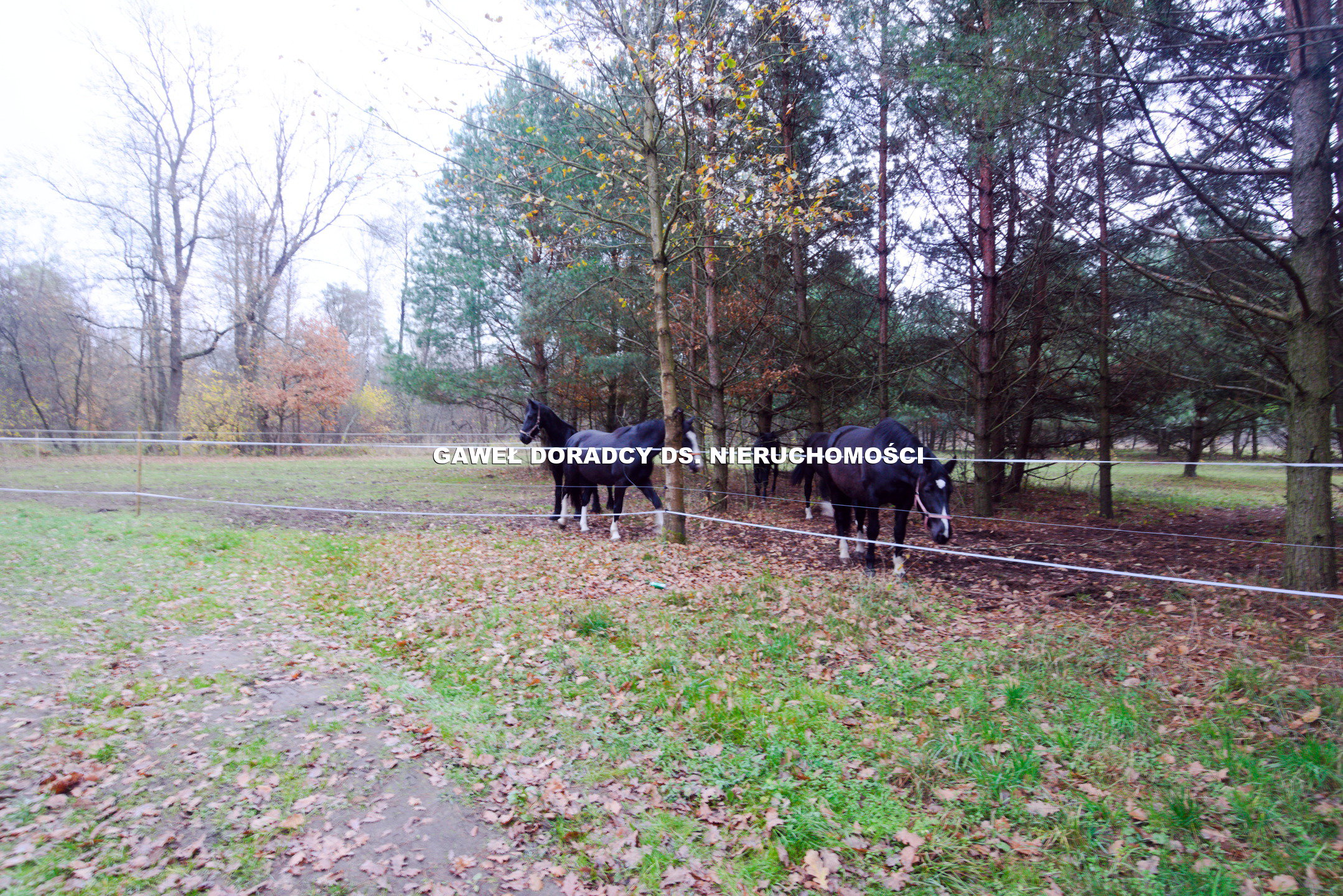 Nieruchomości inwestycyjna, ośrodek rekreacyjno - wypoczynkowy. - zdjęcie 8