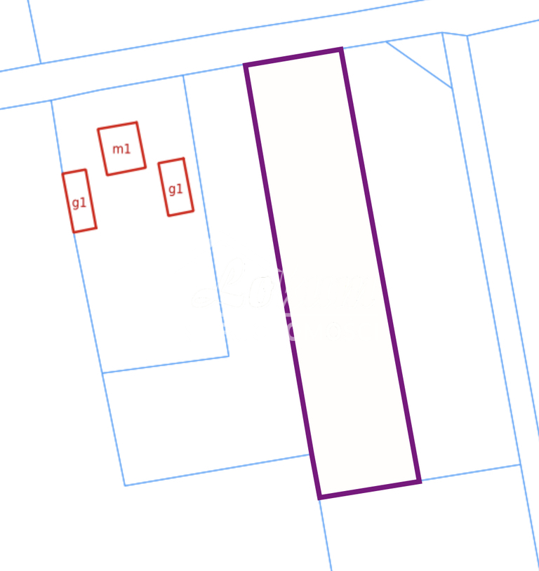 Działka rolna 3012&nbsp;m², Wieńkowo - zdjęcie 1
