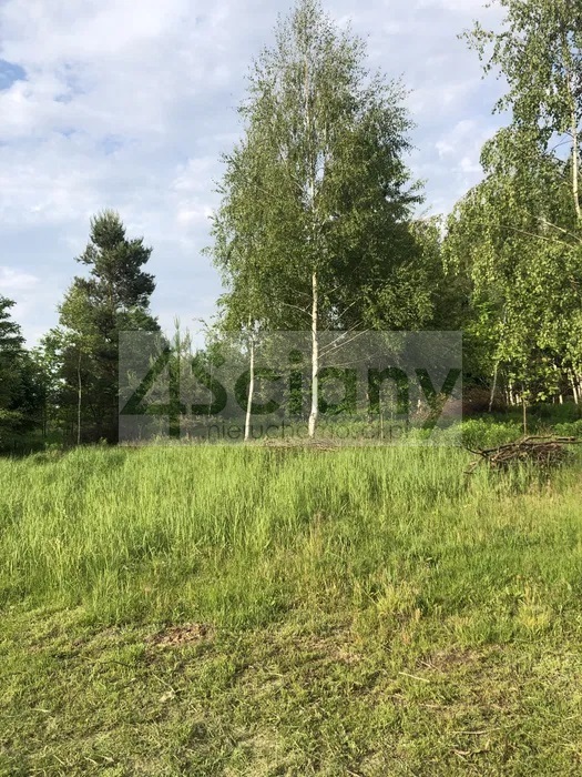 Działka budowlana 1466&nbsp;m², Adamowizna - zdjęcie 2