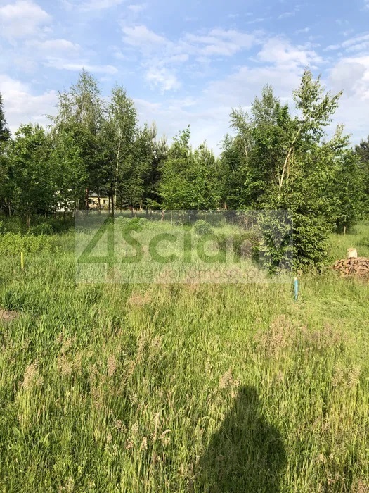 Działka budowlana 1466&nbsp;m², Adamowizna - zdjęcie 3