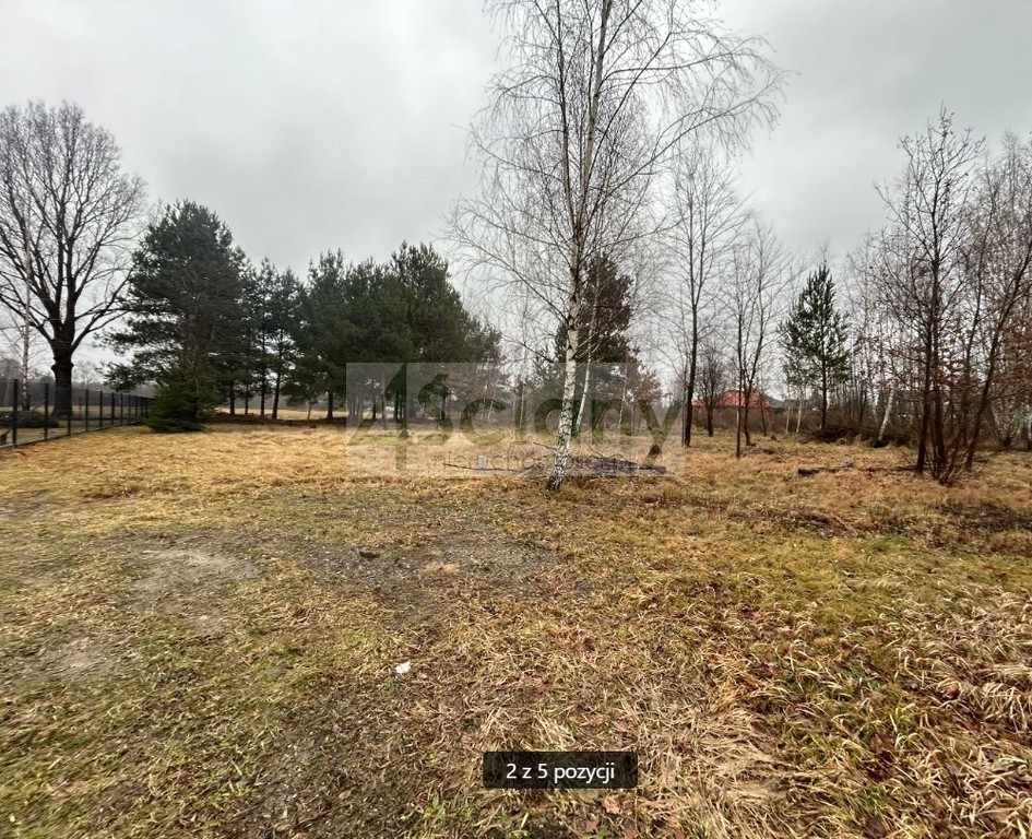 Działka budowlana 1466&nbsp;m², Adamowizna - zdjęcie 5