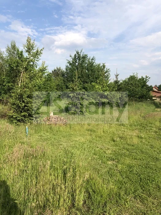 Działka budowlana 1466&nbsp;m², Adamowizna - zdjęcie 4