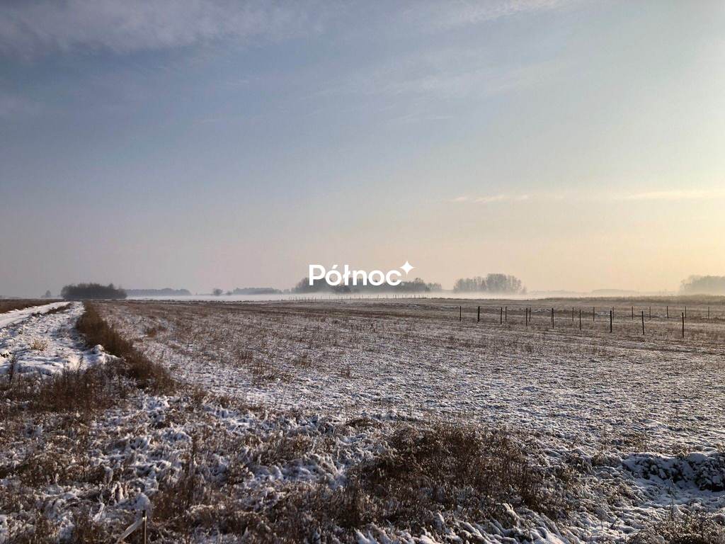 Działka budowlana 1100&nbsp;m², Kuriany - zdjęcie 8