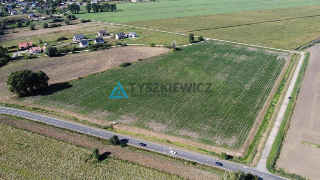 Działka rolna kl. IV 3134 m2 - zdjęcie 5