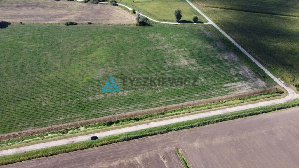 Działka rolna kl. IV 3134 m2 - zdjęcie 2