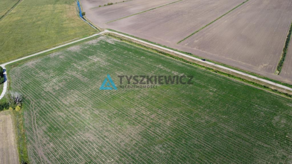 Działka rolna kl. IV 3134 m2 - zdjęcie 7