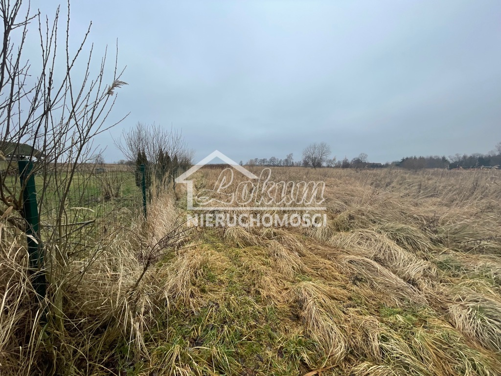 Działka rolna 875&nbsp;m², Lubczyna - zdjęcie 2