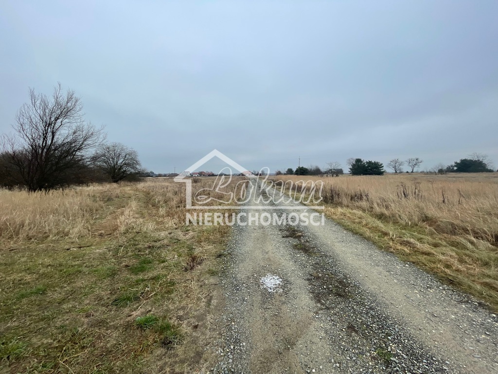 Działka rolna 875&nbsp;m², Lubczyna - zdjęcie 3