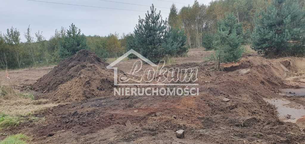 Działka budowlana 3517&nbsp;m², Borzyszewo - zdjęcie 11