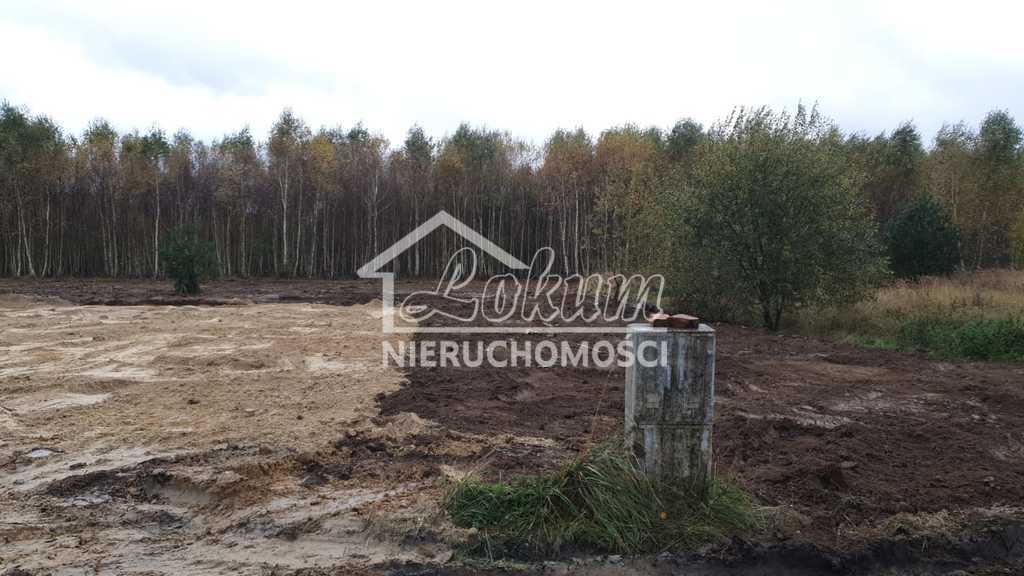 Działka budowlana 3517&nbsp;m², Borzyszewo - zdjęcie 2