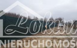 Działka budowlana 3517&nbsp;m², Borzyszewo - zdjęcie 18