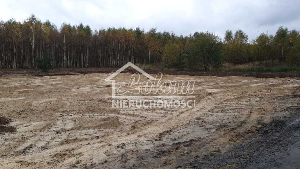 Działka budowlana 3517&nbsp;m², Borzyszewo - zdjęcie 10