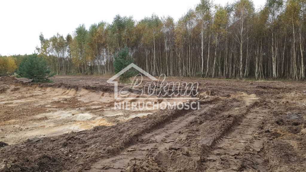 Działka budowlana 3517&nbsp;m², Borzyszewo - zdjęcie 14