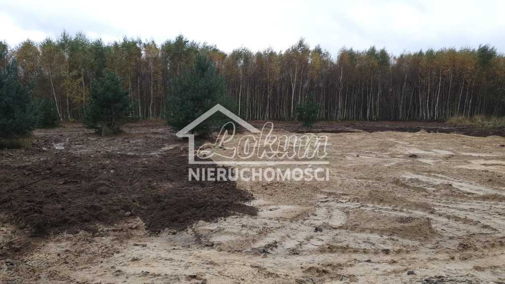 Działka budowlana 3517&nbsp;m², Borzyszewo - zdjęcie 1