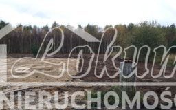 Działka budowlana 3517&nbsp;m², Borzyszewo - zdjęcie 17