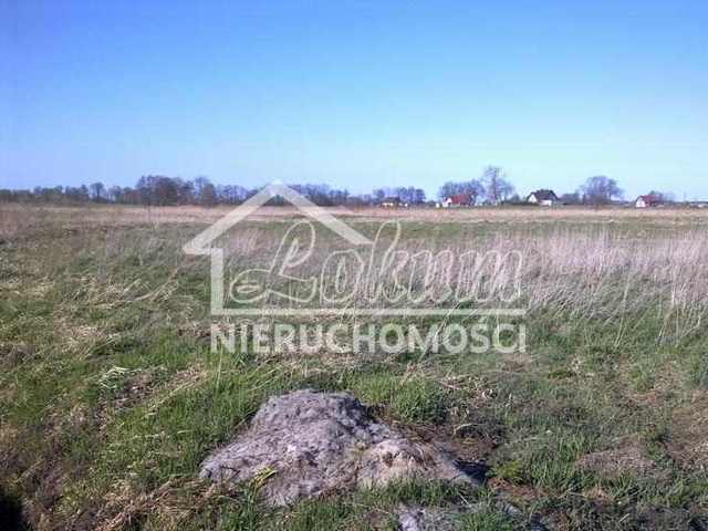 Działka budowlana 1050&nbsp;m², Łęgi - zdjęcie 4