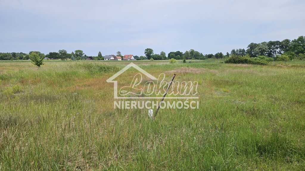 Działka budowlana 1050 m², Łęgi - zdjęcie 4