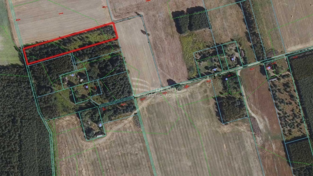 Działka budowlana 7500 m², Zielona - zdjęcie 1