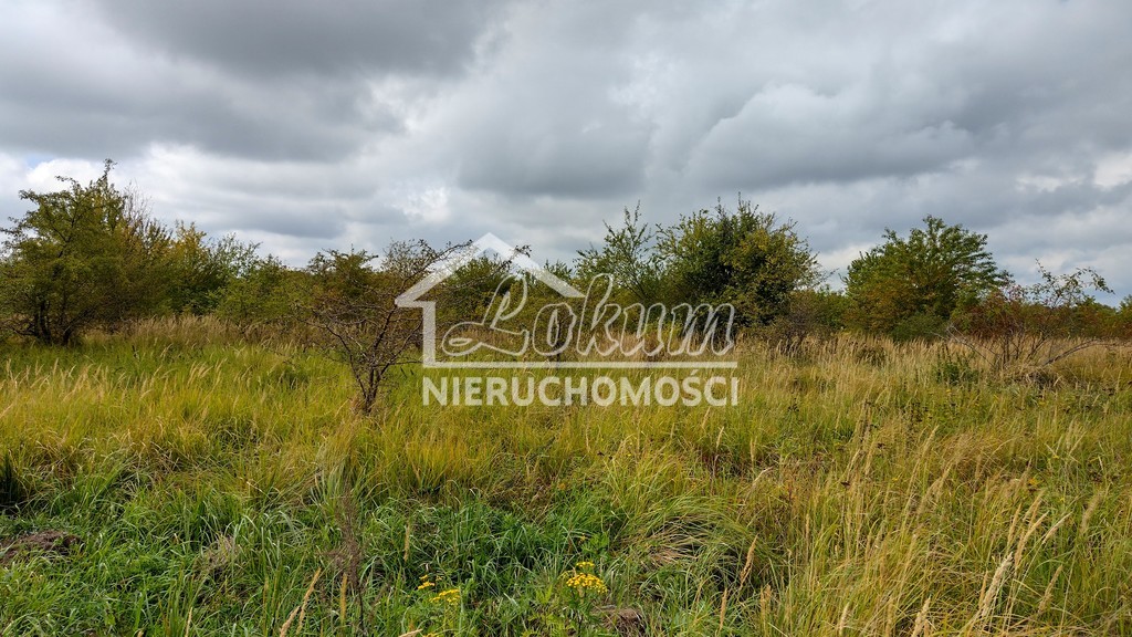 Działka rolna 5,91&nbsp;ha, Kołowo - zdjęcie 1