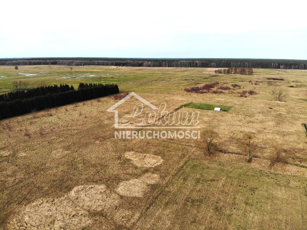 Działka budowlana 1069&nbsp;m², Żdżary - zdjęcie 2