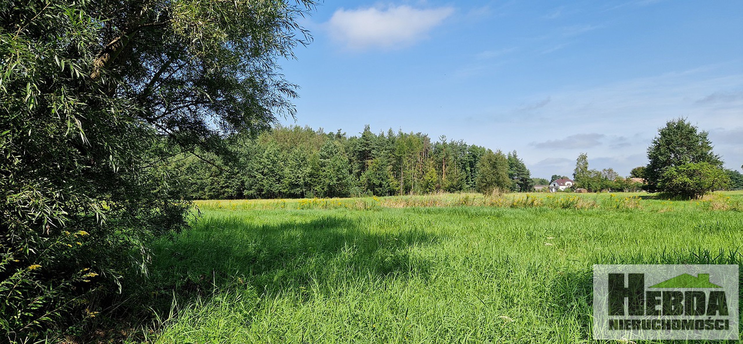 Janowiec ( gmina Radomyśl Wielki) domek murowano - drewniany na działce 18 arów - zdjęcie 6